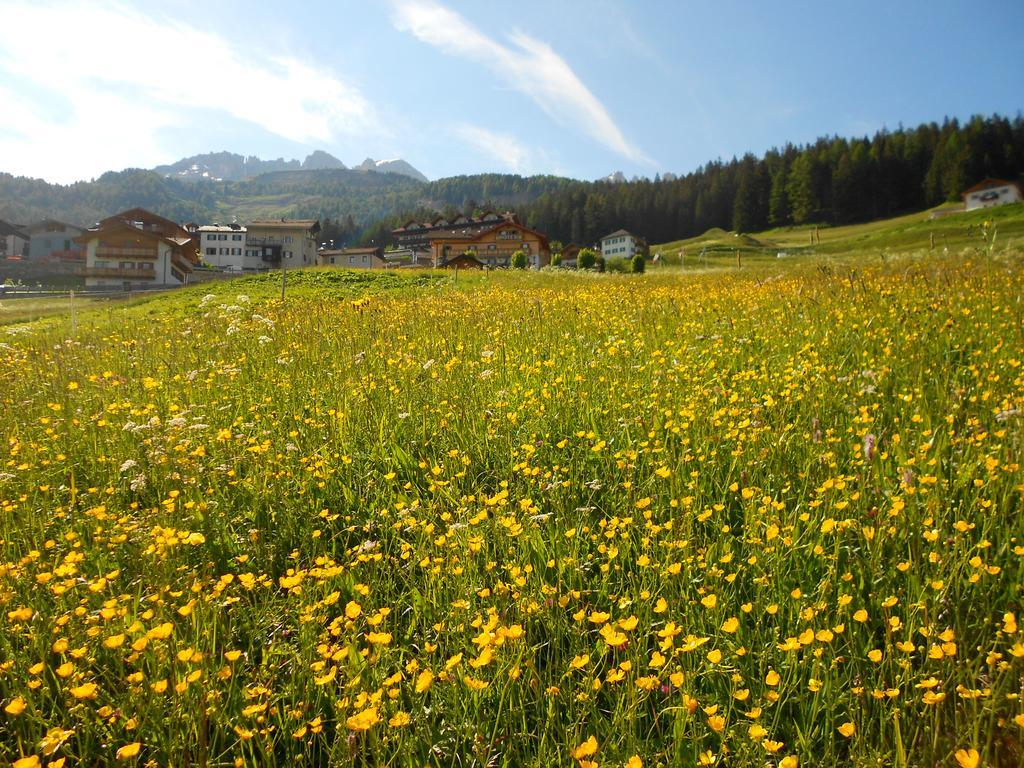 Hotel Millefiori Vigo di Fassa Kültér fotó